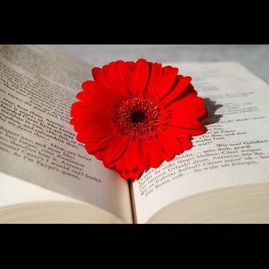 八王子駅近の有料自習室。八王子で勉強場所をお探しの方に